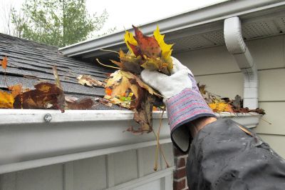 Gutter and Edge Repair